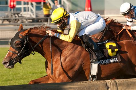 Churchill Distaff Turf Mile: Scratches remove some pace pressure