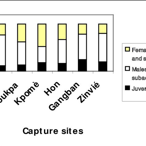 importance of age and sex classes of spotted necked otters captured in download scientific