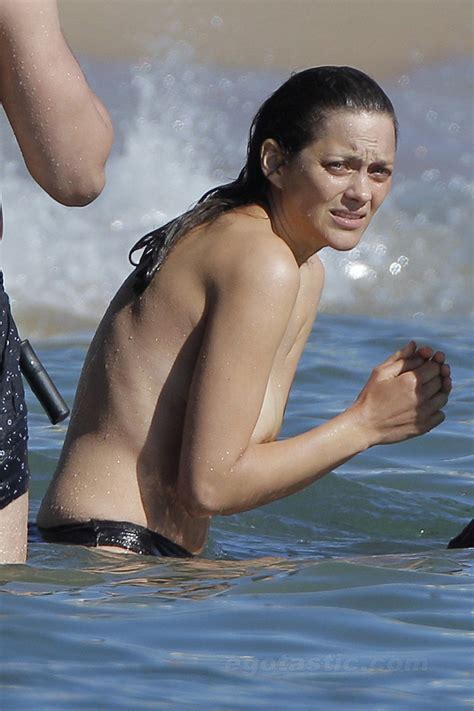 naked marion cotillard in rust and bone