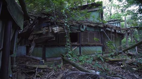 Inside Disney Worlds Abandoned Island That Mysteriously Closed Two
