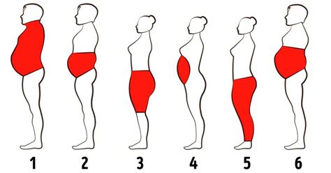 Women Body Fat