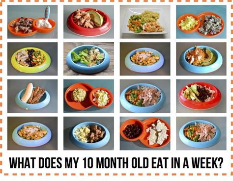 Feb 05, 2020 · finger foods and table foods. What Does My 10 Month Old Eat in a Week? | Tables, Snacks ...