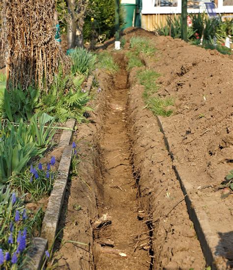 We did not find results for: Himbeerbines Gartenleben: Neue Wasserleitung - Vorbereitung