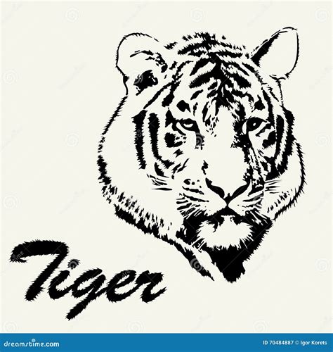 Tiger Head Hand Drawn Tiger Sketch Isolated Background Stock Vector