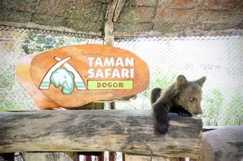 Sejarah Taman Safari Indonesia Bogor