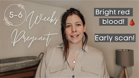5 6 Week Pregnancy Update Miscarriage Scare Symptoms Youtube