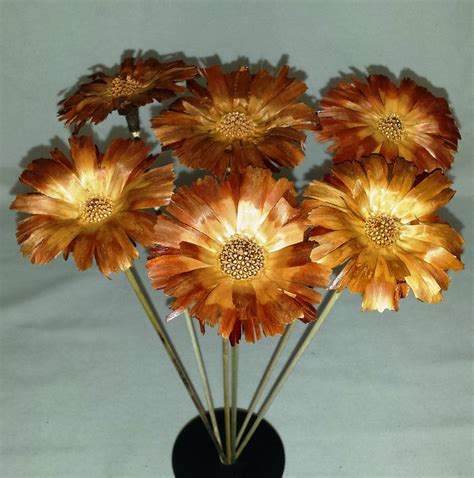 Proteas — saltar a navegación, búsqueda no debe confundirse con protea. Proteas Naturales Secas Basi - 1,90€ — Flores Frescas ...