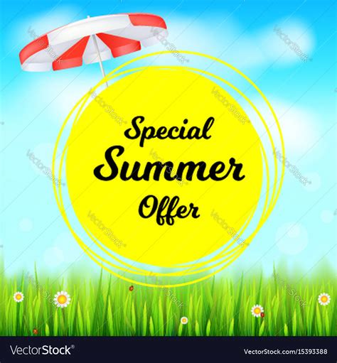 Special Summer Offer Selling Ad Banner Holiday Vector Image