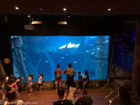 Tips For Visiting Sea Life Melbourne Aquarium Adventure Baby