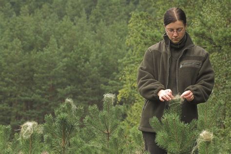 We did not find results for: Certified Arborist Information - How And Where To Find An ...