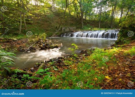 Creek Cascades In Polish Forest Stock Image Image Of Cascades Forest
