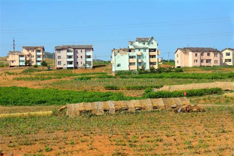 Countryside North Korea Stock Photo Image Of Field 48032288