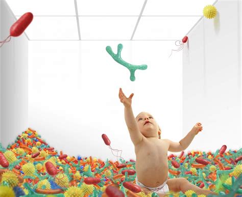 Gut Microbiomes Are Most Malleable In The First 2 Years Of Life Can