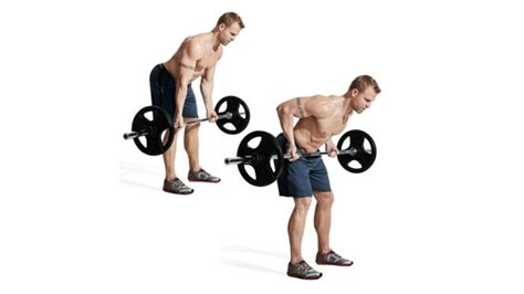 7 Best Barbell Moves For Building A Big Back Muscle And Fitness