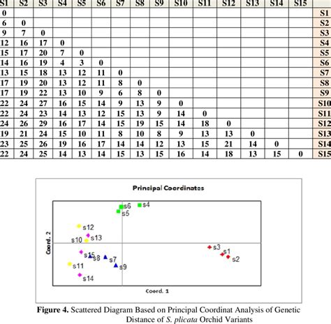 Genetic Distance Matrix Of 15 S Plicata Variants Download Scientific