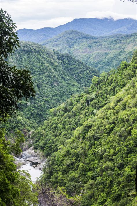 Kuranda Rainforest [OC] [4000x6000] : EarthPorn