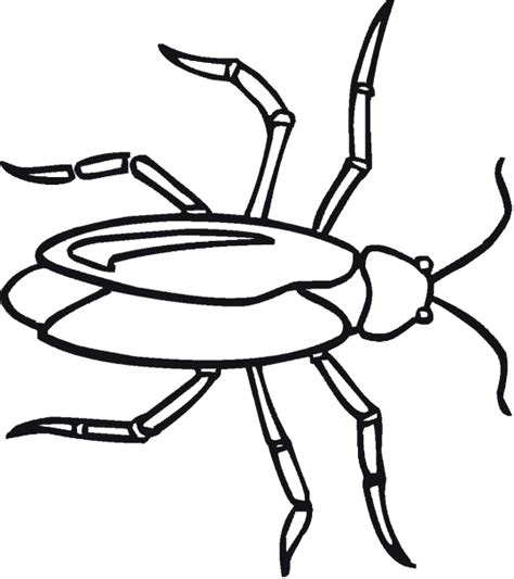 Dibujo de insectos - Imagui