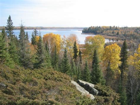 Stretch Of Canadian Boreal Forest Deemed A Unesco World Heritage Site