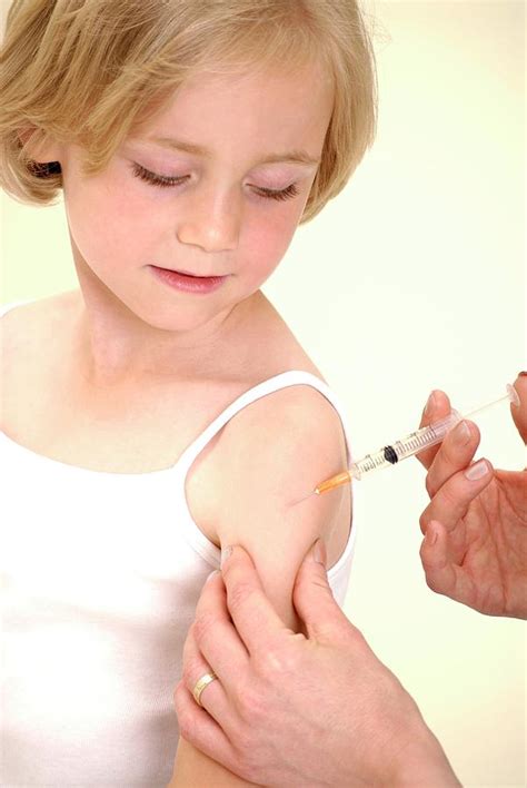 Vaccination Photograph By Lea Paterson Science Photo Library Fine Art America