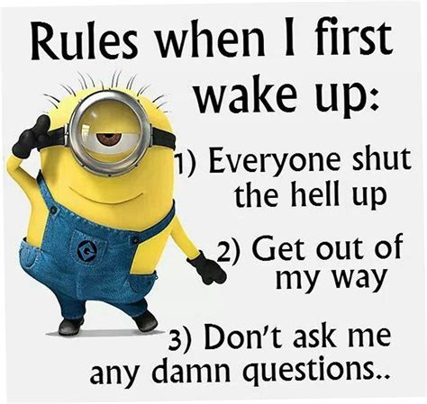Minion Quotes Memes On Twitter Top Funny Minion Memes Pictures My Xxx