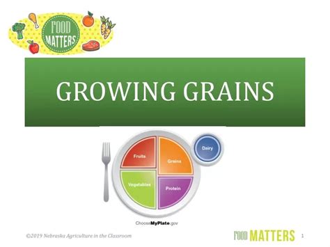 PPT GROWING GRAINS PowerPoint Presentation Free Download ID