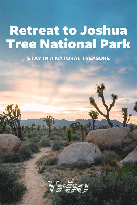Super 8 by wyndham yucca val/joshua tree nat pk area, best western joshua tree hotel & suites, and americas best value inn & suites joshua tree national park are some of the most popular hotels for travelers looking to stay near oasis visitor center. Joshua Tree National Park or bust! Stay in a vacation ...