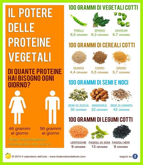 Proteine Vegetali E Quantità Giornaliera Alimenti Alimenti Sani