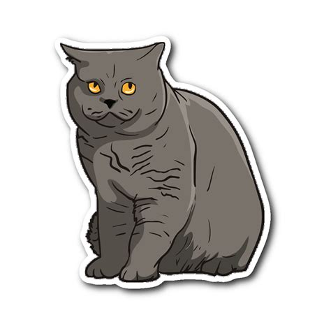British Shorthair Cat Png Hd Image Png All