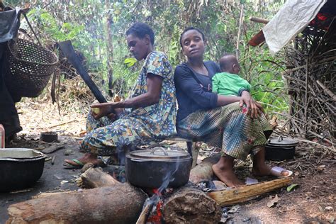 African Pygmies Preserve Their Ancient Culture Lifestyle Daily Sabah