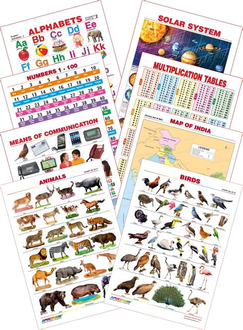 Buy Spectrum Educational Mini Wall Chart Set Of 8 Set 24 English