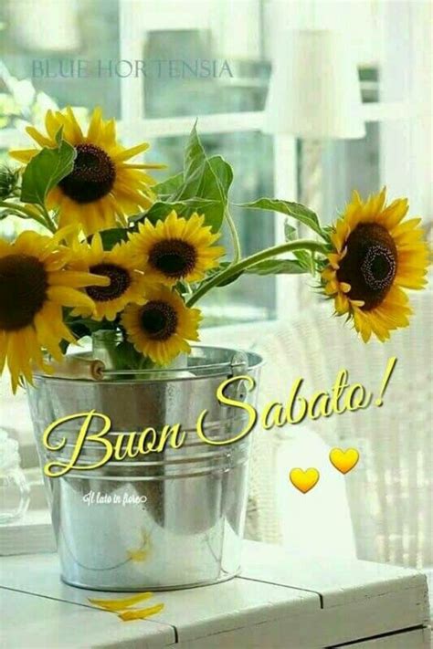 Quando si cerca gentilezza, si vuole dare un tocco grazioso ad un gesto, ecco che ricorriamo ai fiori. Buon Sabato fiori gialli (1) | Girasole giardino, Fiori ...