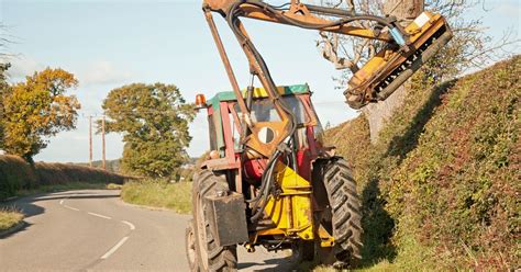 Hedgerow Cutting Ban Put In Place Across Ireland Rsvp Live