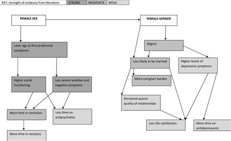 Conceptual Framework Possible Associations Of Female Sex And Female Download Scientific