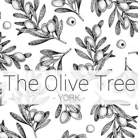 The Olive Tree York York