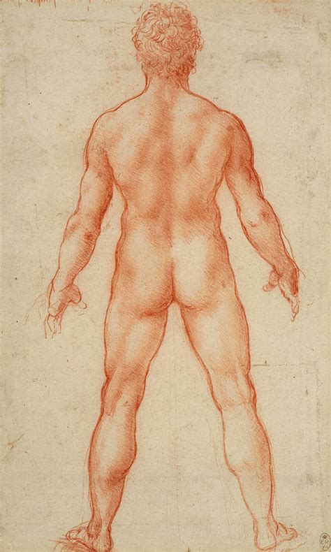 A Standing Male Nude Painting By Leonardo Da Vinci Fine Art America