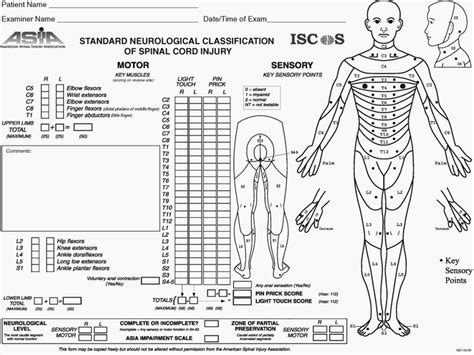 Asia Scale Sample Spinal Cord Injury Spinal Cord Nurs