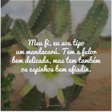 Frases Nordestinas Para Fotos