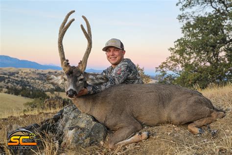 Page 25 Blacktail Deer Hunting California Sc2 Outdoors