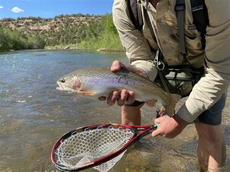 Fly Fishing The Upper San Juan River Expedition Outside