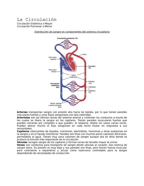 Circulación Fisiología La Circulación Circulación Sistémica O Mayor