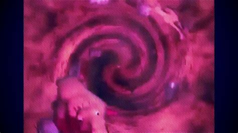 animal trax ~ camel adaptation song﹝slowed + reverb﹞ - YouTube