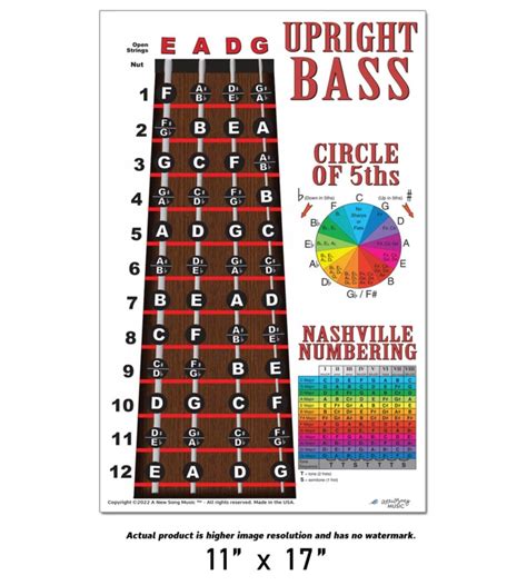 Buy Upright Bass Fingerboard Instructional Poster String Bass Notes Chart Nashville Numbering