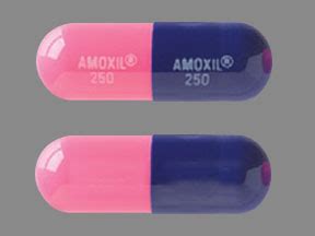 Amoxicillin is approximately 60% bioavailable.8 a 250mg dose of oral amoxicillin reaches a cmax 3.93±1.13mg/l with a tmax 1.31±0.33h and an auc of 27.29±4.72mg*h/l.4 a 875mg dose of oral amoxicillin reaches a cmax. AMOXIL 250 AMOXIL 250 Pill Images (Blue / Pink / Capsule ...