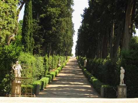 무료 이미지 나무 꽃 녹색 낭만적 인 이탈리아 식물학 수단 관목 조각상 식물원 피렌체 우디 식물 종범
