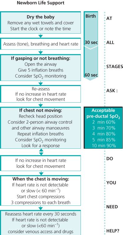 Resuscitation At Birth Anesthesia Key