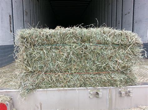 Orchard Alfalfa Square Hay Bale At Cherokee Feed And Seed Ball Ground And
