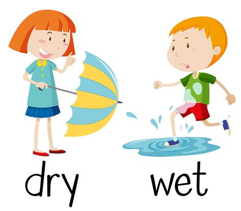 Opposite Wordcard For Dry And Wet 447978 Vector Art At Vecteezy