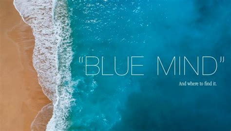 Blue Mind Wellness A Mantra For Land Air And Sea Blue Mind Wellness