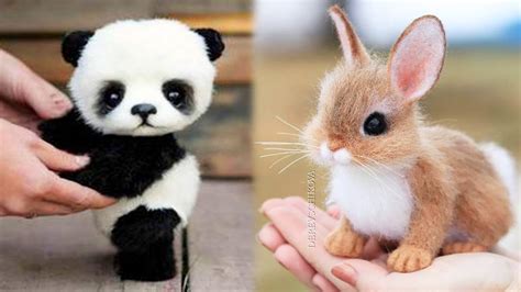 Aww Animals Soo Cute Cute Baby Animals Videos Compilation Cute Moment