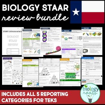Students attending public high schools in the state of texas are required to pass five staar eoc tests to graduate. STAAR Biology Review Bundle by Biology Roots | Teachers Pay Teachers